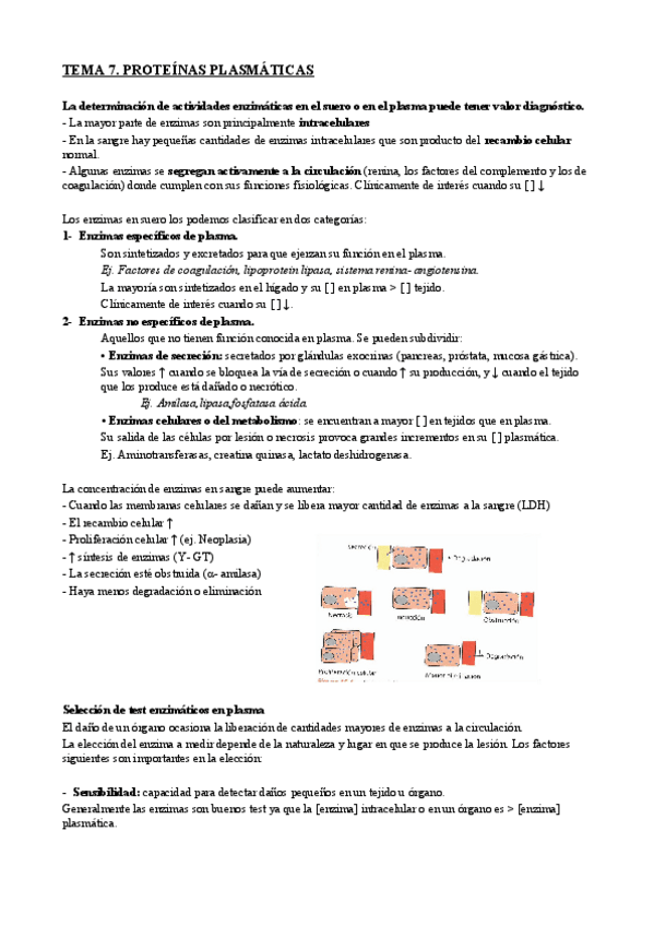Miniatura del documento T7 BQ CL.pdf