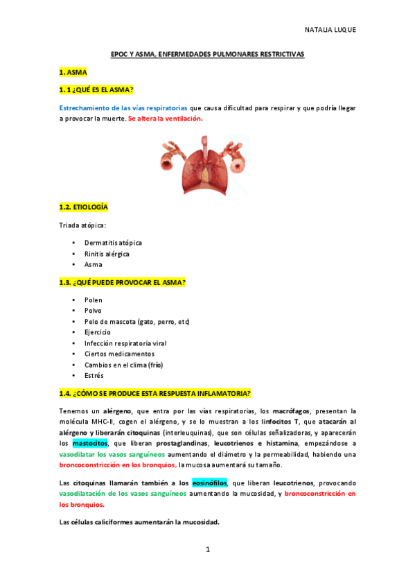 Miniatura del documento EPOC-Y-ASMA.pdf