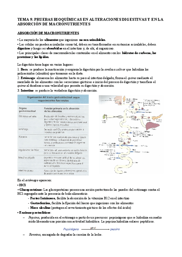 Miniatura del documento T9 bq cl.pdf