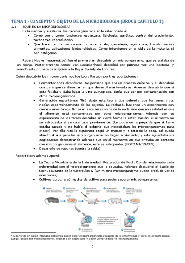 Miniatura del documento MICROBIOLOGIAapuntesprimerparcial.pdf