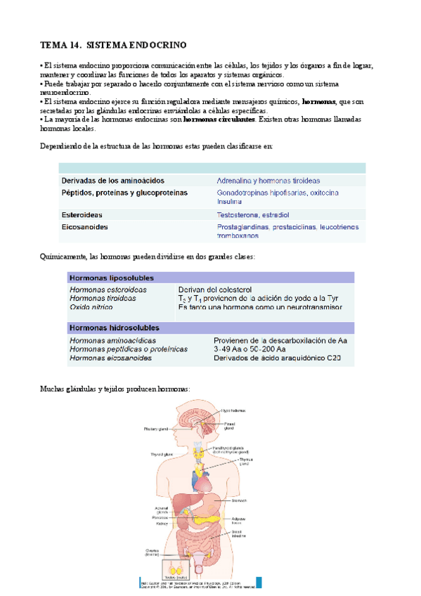 Miniatura del documento T14 bq cl.pdf