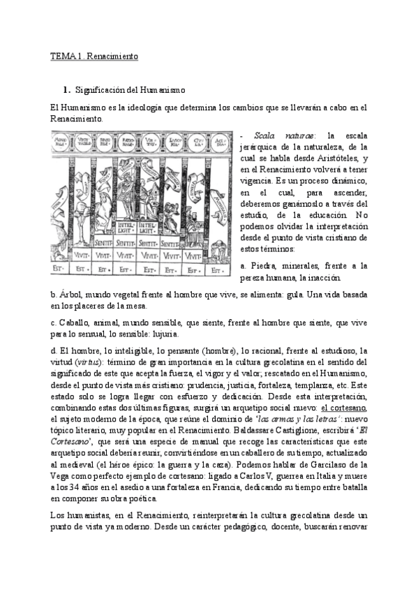 Miniatura del documento TEMA-1.-Renacimiento-literario.pdf