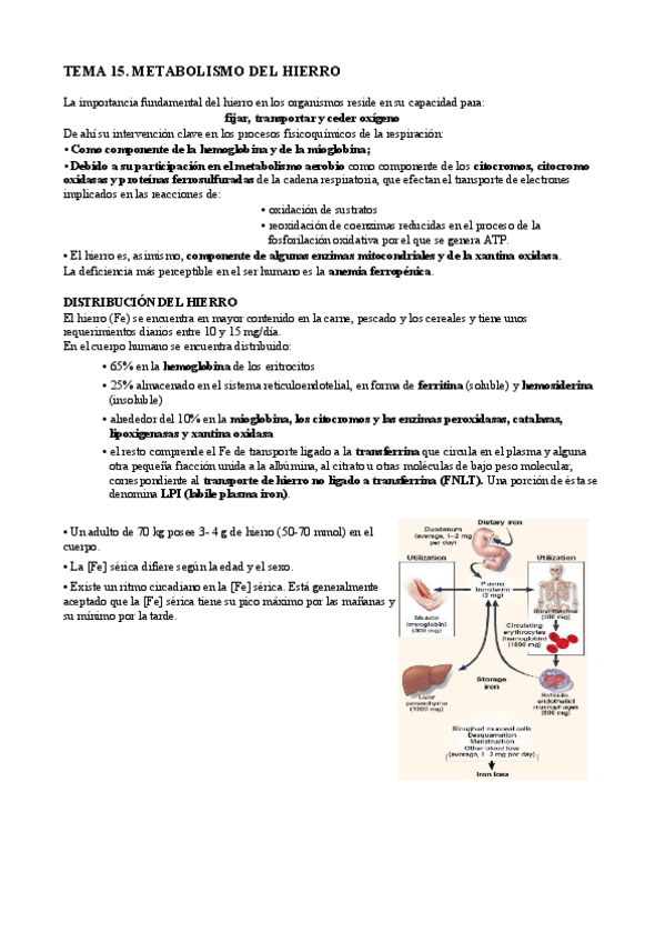 Miniatura del documento t15 bq cl.pdf