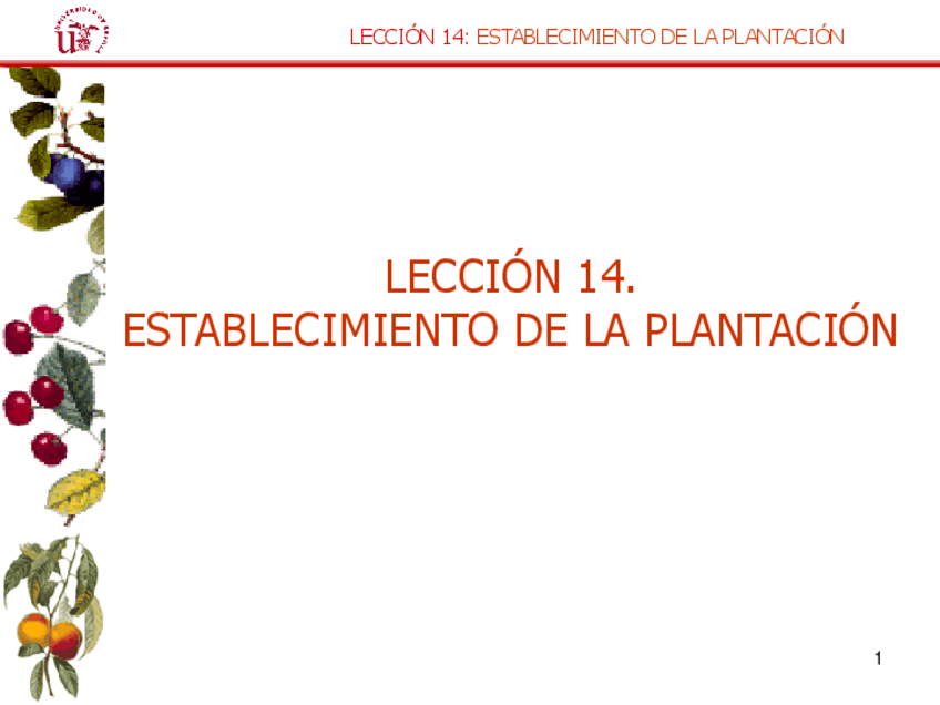 Miniatura del documento Leccion-14.-Establecimiento-de-la-plantacion.pdf
