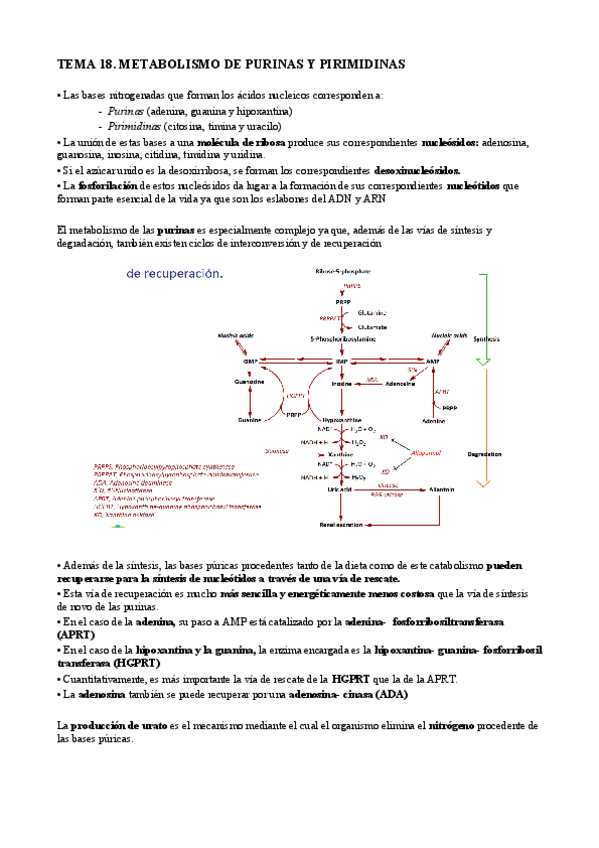 Miniatura del documento t18 bq cl.pdf
