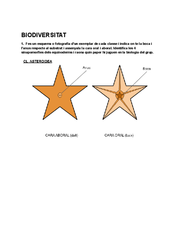 Miniatura del documento Equinoderms-1.pdf