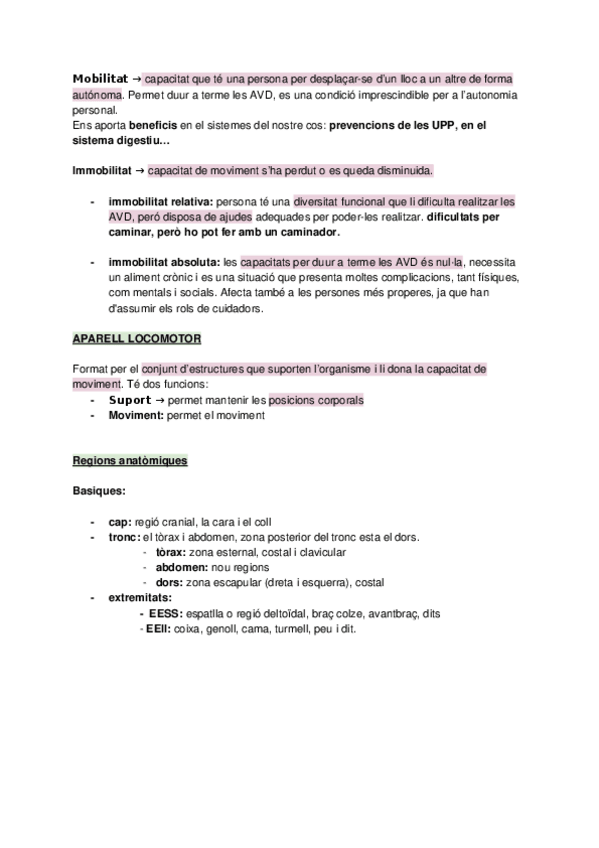 Miniatura del documento apuntes-examen-2112023.docx