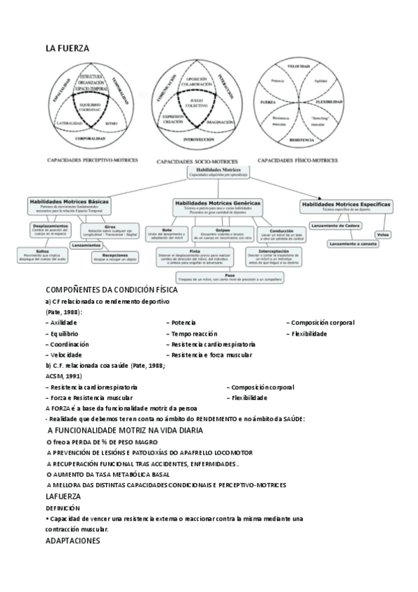 Miniatura del documento 3.-LA-FUERZA.pdf