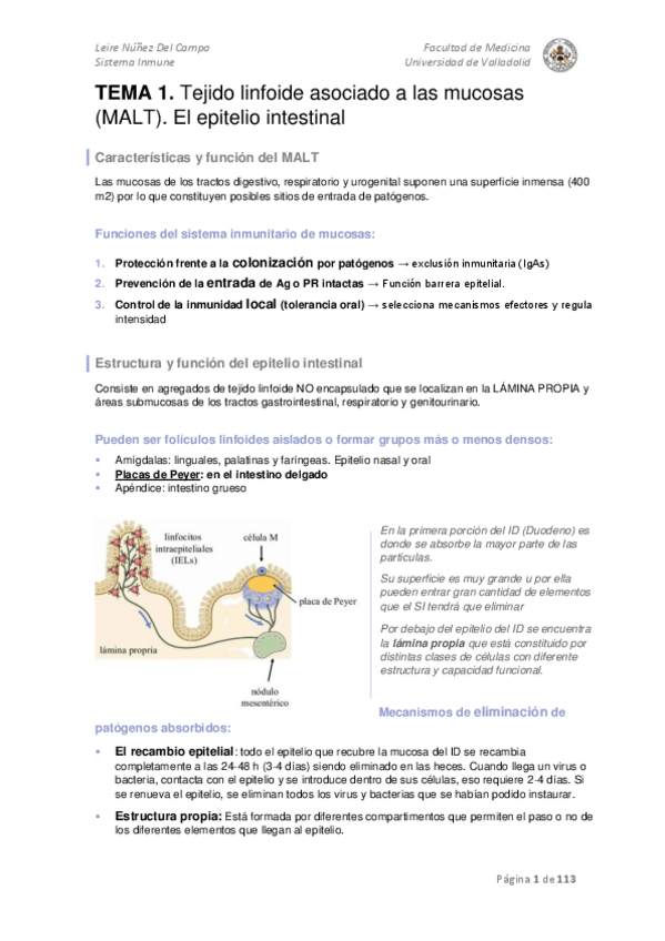 Miniatura del documento Sistema Inmune COMPLETO.pdf