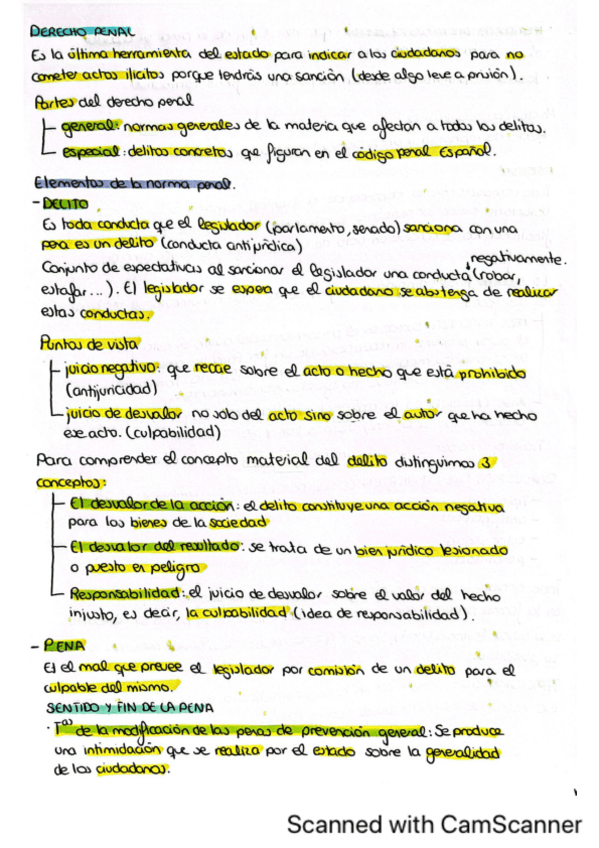 Miniatura del documento derecho-penal-completo.pdf
