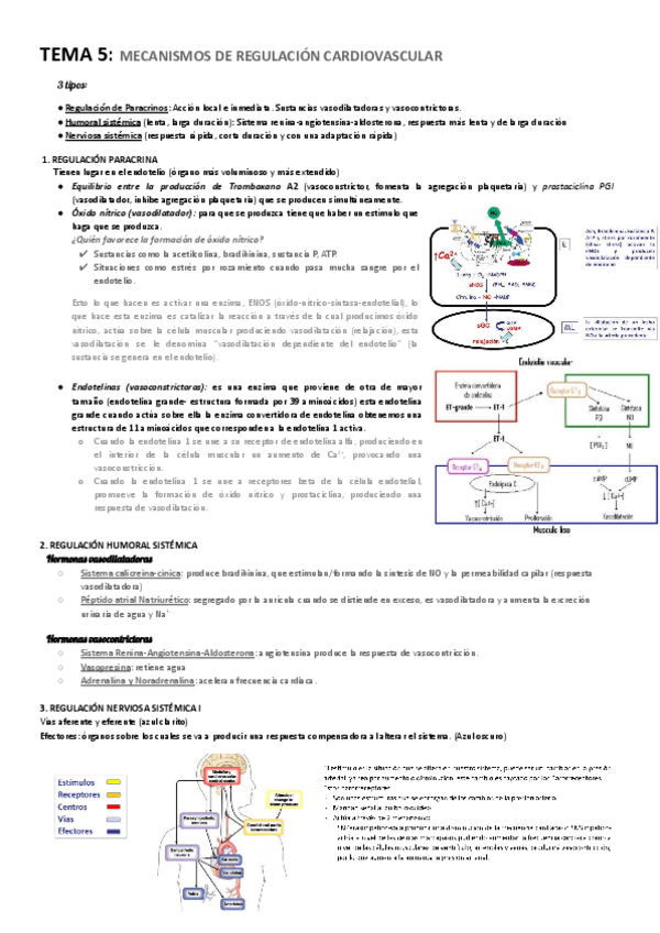Miniatura del documento TEMA-5-Fiosiologia-II.pdf
