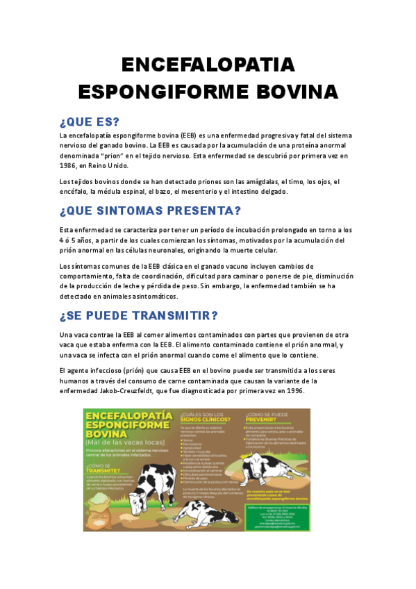 Miniatura del documento Encefalopatia-espongiforme-bovina.pdf