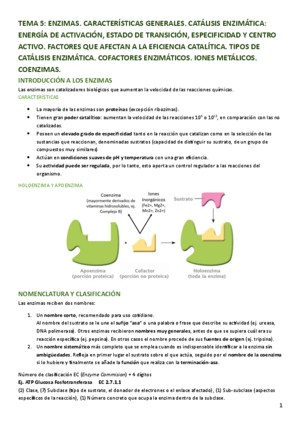 Miniatura del documento TEMA-5-BQE.pdf