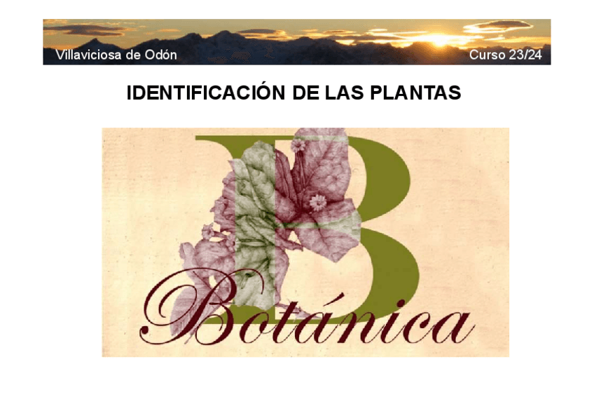 Miniatura del documento 1-IDENTIFICACION-DE-LAS-PLANTAS.pdf