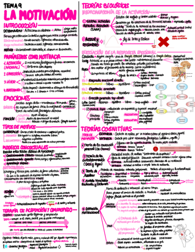 Miniatura del documento T9-La-Motivacion.pdf