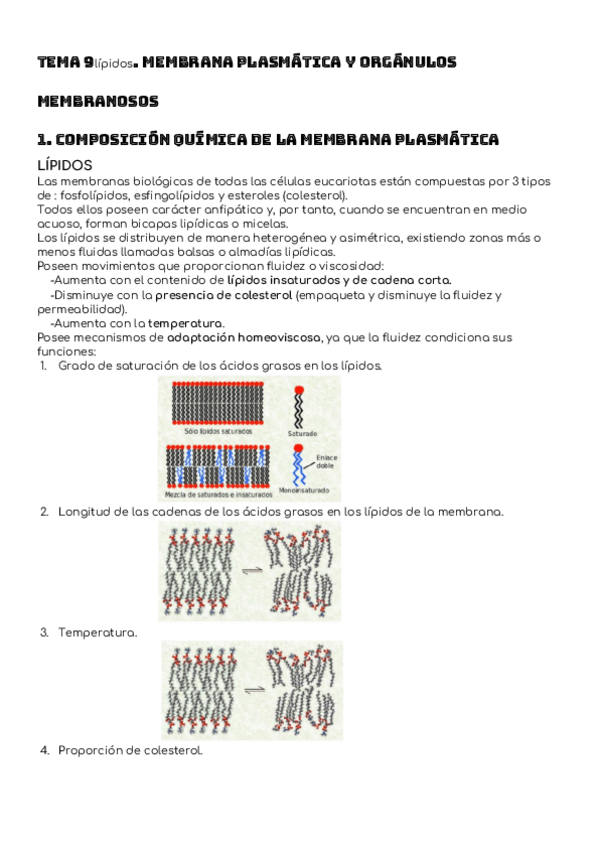 Miniatura del documento TEMA-9.-MEMBRANA-PLASMATICA-Y-ORGANULOS-MEMBRANOSOS.pdf