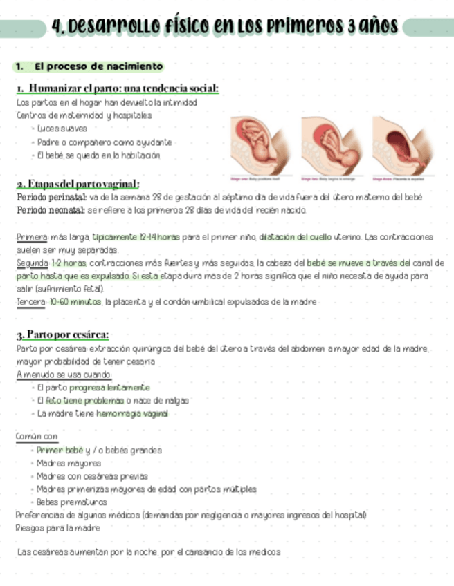 Miniatura del documento Capitulo-4.pdf