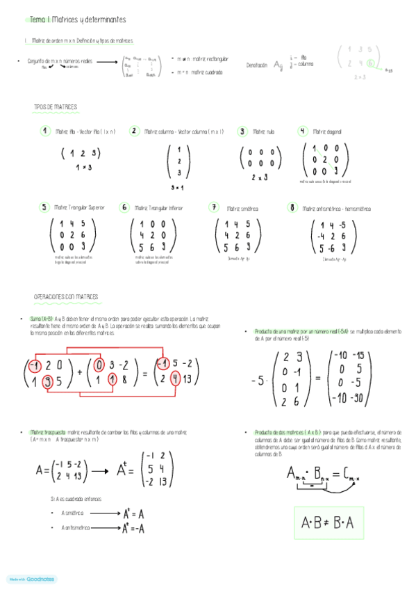 Miniatura del documento Mates-Tema-1.pdf