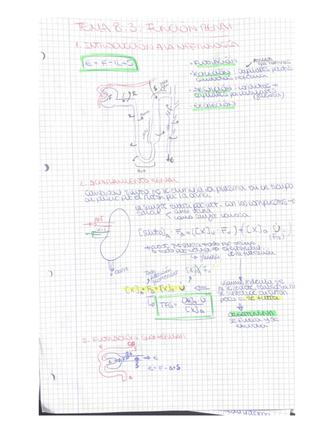 Miniatura del documento Tema-8.3-RENAL-videos.pdf