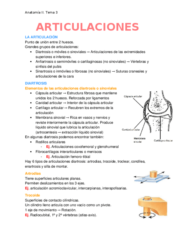 Miniatura del documento Articulaciones.docx