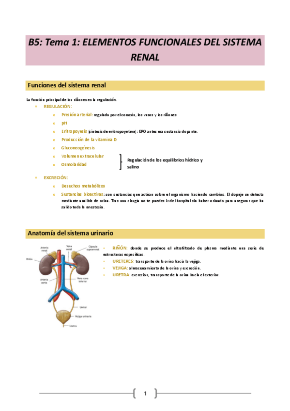 Miniatura del documento Fisiologia-23-24.-Bloque-5-tema-1.pdf