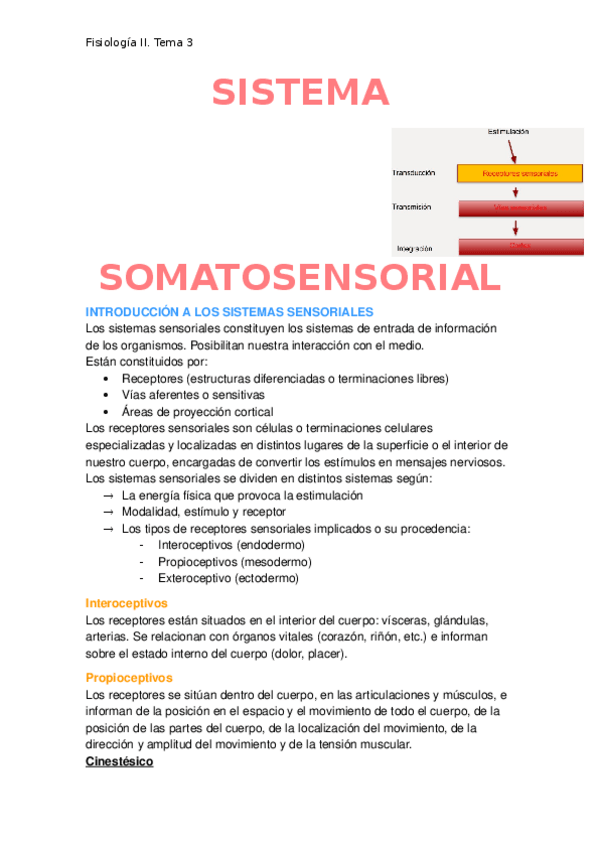 Miniatura del documento Sistema-somatosensorial.docx