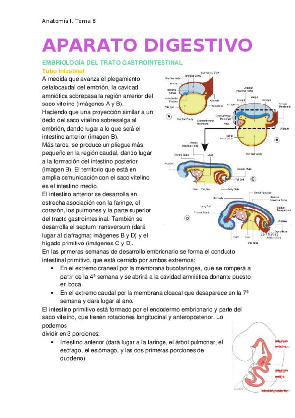 Miniatura del documento Aparato-digestivo.docx