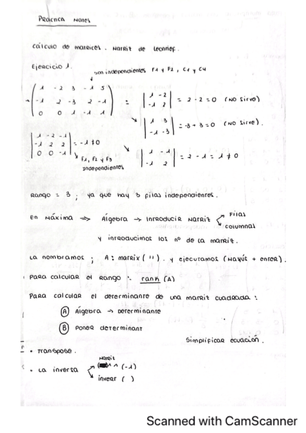 Miniatura del documento Practica-maxima-Mates-II.pdf