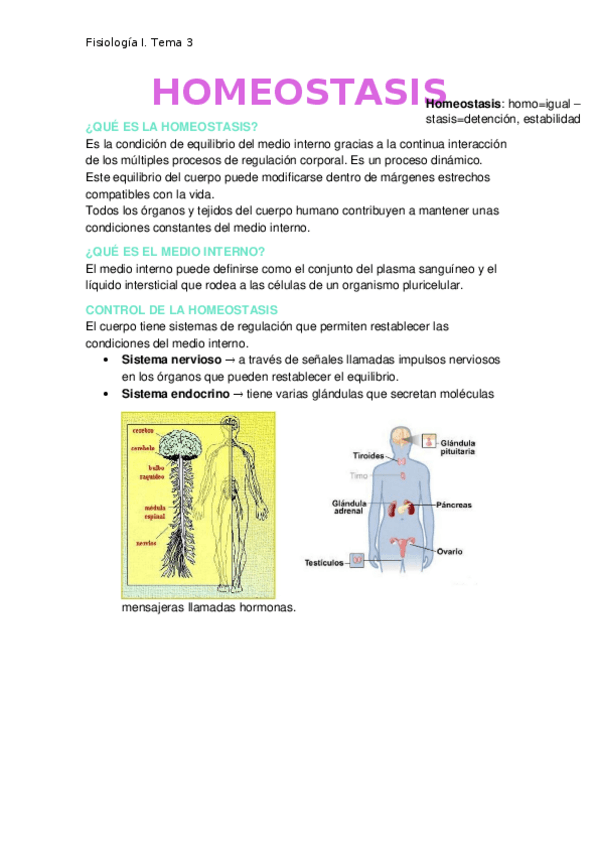 Miniatura del documento Homeostasis.docx