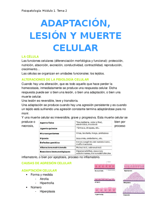 Miniatura del documento 2.-Adaptacion-celular.docx
