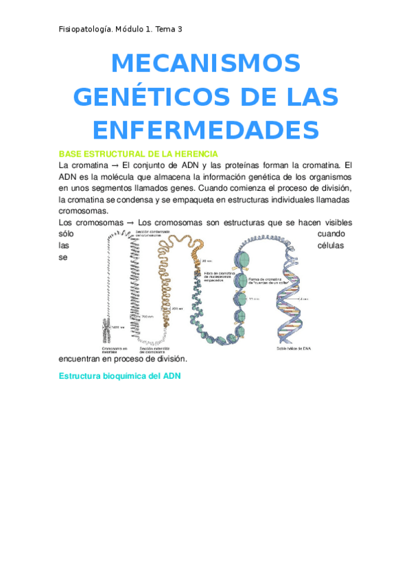 Miniatura del documento 3.-Mecanismos-geneticos-de-las-enfermedades.docx