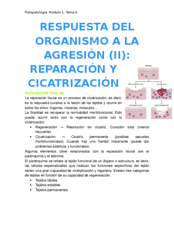 Miniatura del documento 6.-Reparacion-y-cicatrizacion.docx