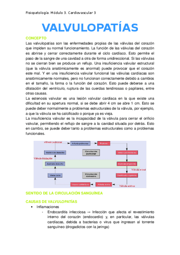 Miniatura del documento 3.-Valvulopatias.docx