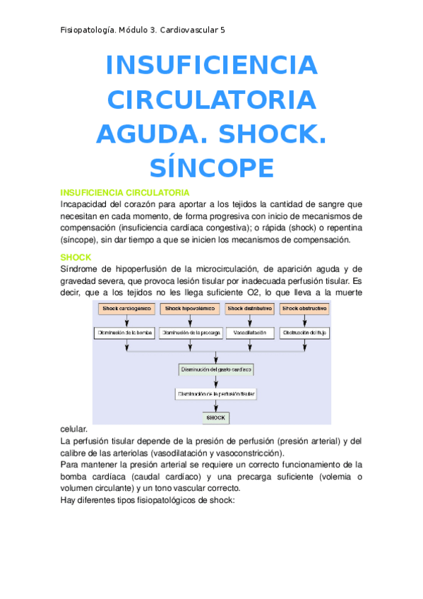 Miniatura del documento 5.-Insuficiencia-circulatoria-aguda.docx