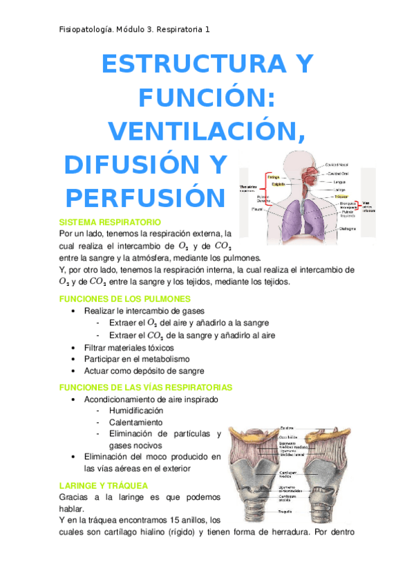 Miniatura del documento 1.-Estructura-y-funcion.docx