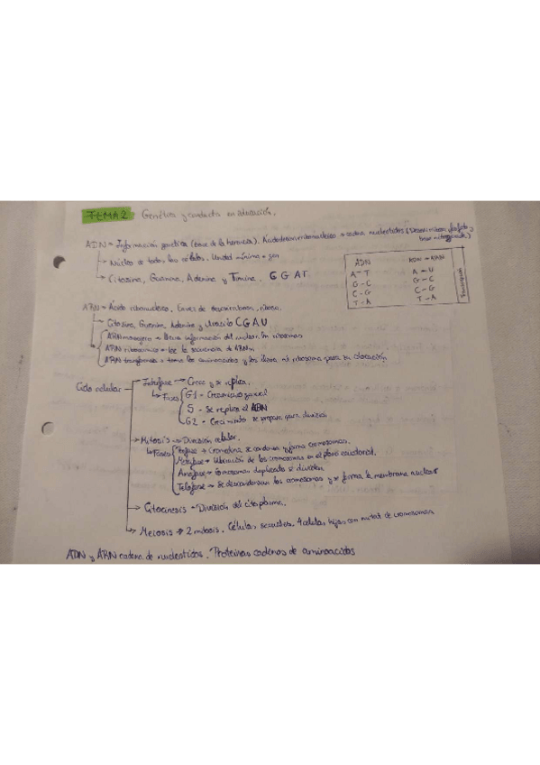Miniatura del documento Tema-2 Genética.pdf