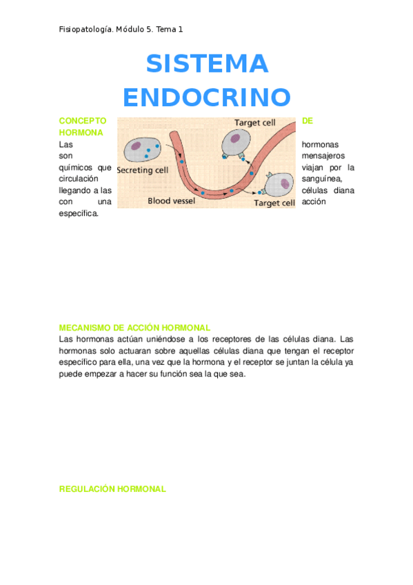 Miniatura del documento 1.-Sistema-endocrino.docx
