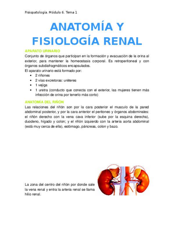 Miniatura del documento 1.-Anatomia-y-fisiologia-renal.docx