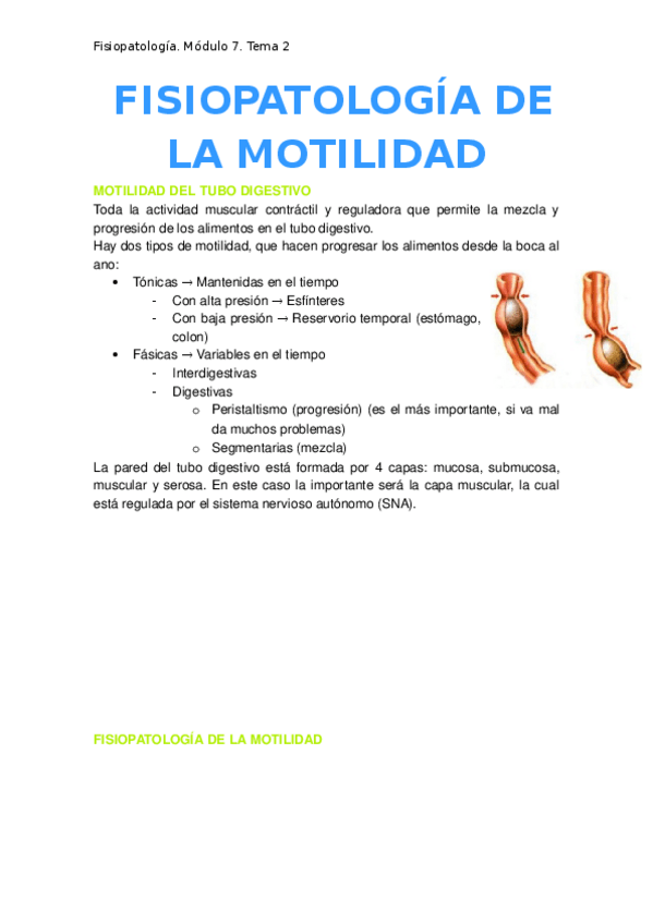 Miniatura del documento 2.-Fisiopatologia-de-la-motilidad.docx
