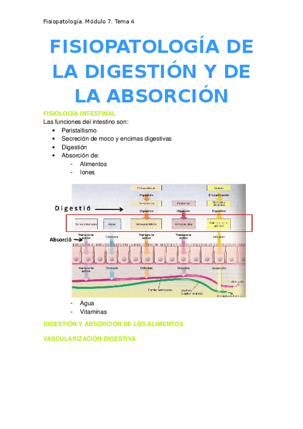 Miniatura del documento 4.-Fisiopatologia-de-la-digestion-y-de-la-absorcion.docx