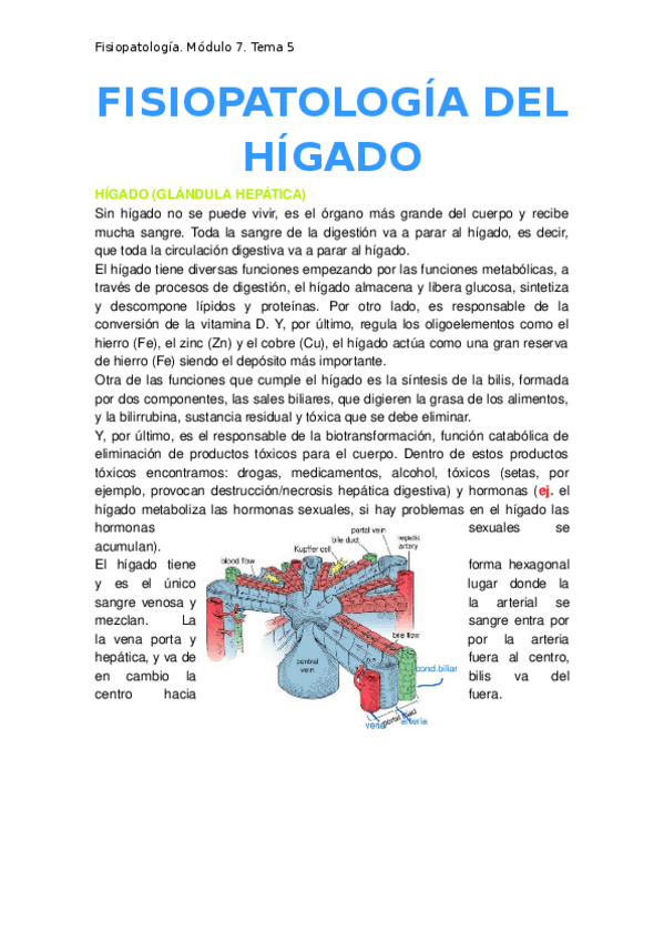 Miniatura del documento 5.-Fisiopatologia-del-higado.docx