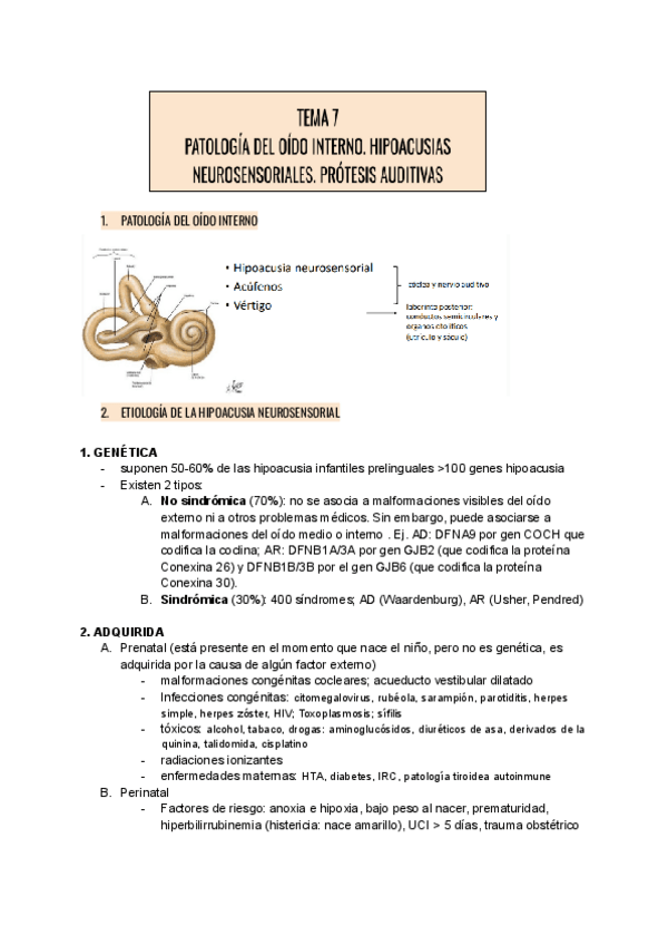 Miniatura del documento 7.-Patologia-del-oido-interno.-Hipoacusias-neurosensoriales.-Protesis-auditivas.pdf