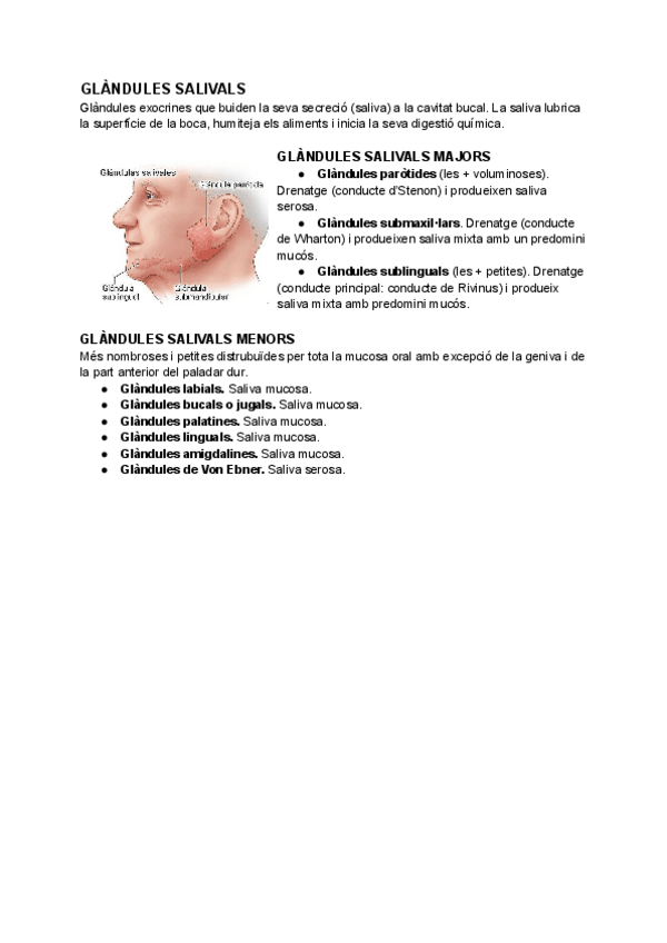 Miniatura del documento GLANDULES-SALIVALS.pdf