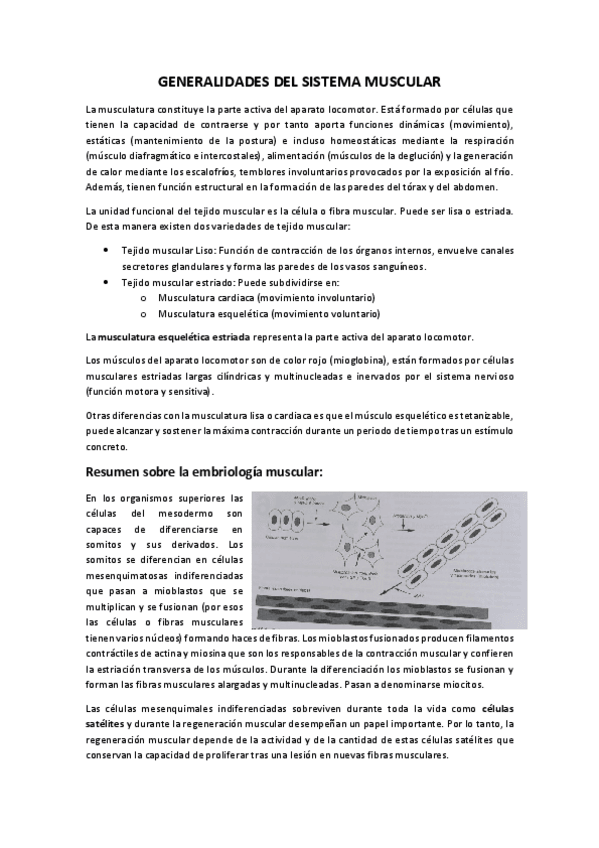 Miniatura del documento Resumen-Generalidades-Musculoesqueletico-Veterinaria.pdf