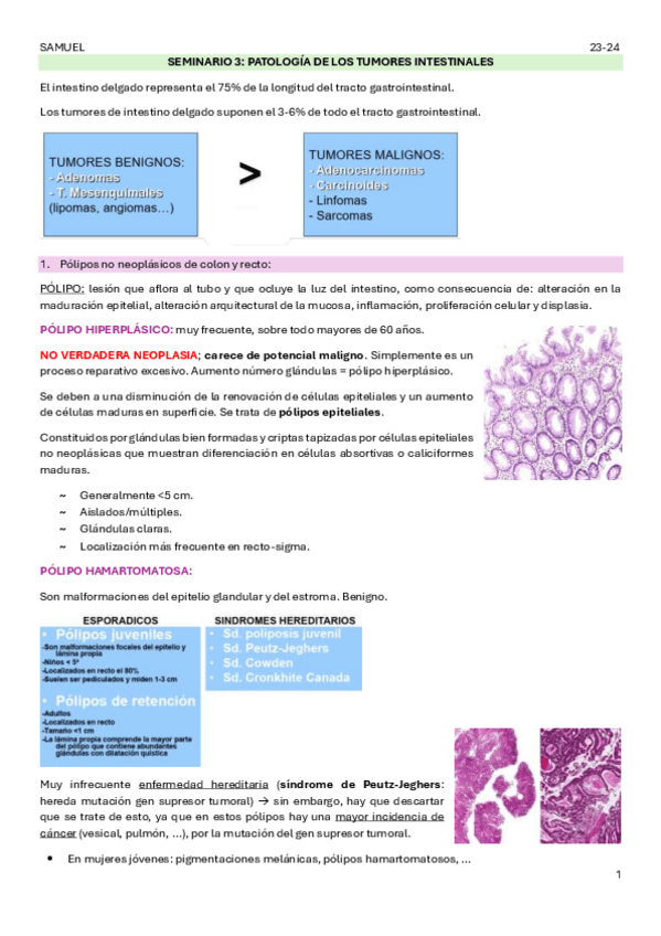 Miniatura del documento SEMINARIO-3.pdf