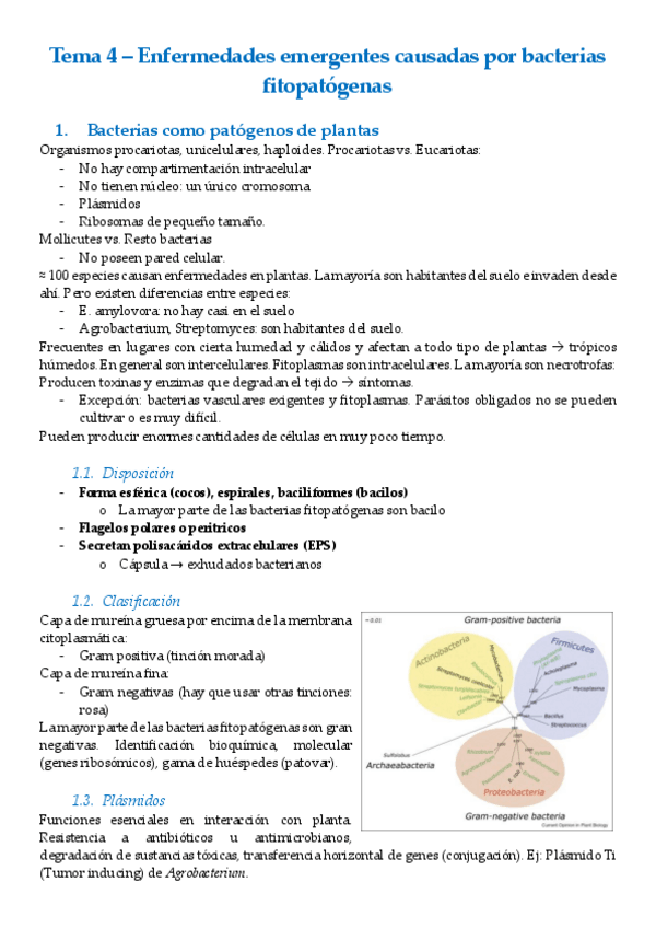 Miniatura del documento Tema-4-Enfermedades-bacterias.pdf