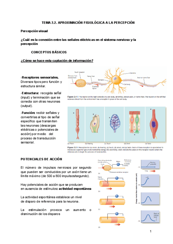Miniatura del documento Tema-2.2-Atencion-percepcion-y-motivacion.pdf