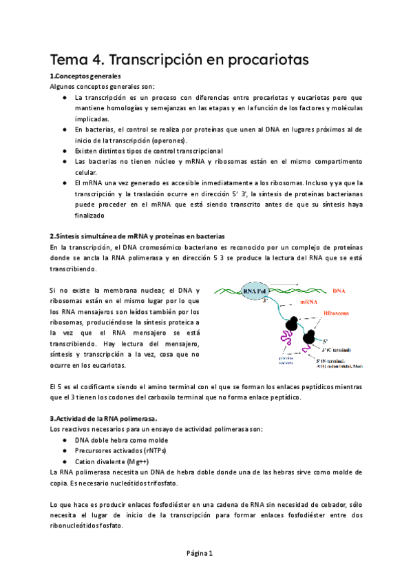 Miniatura del documento T4-BM.pdf