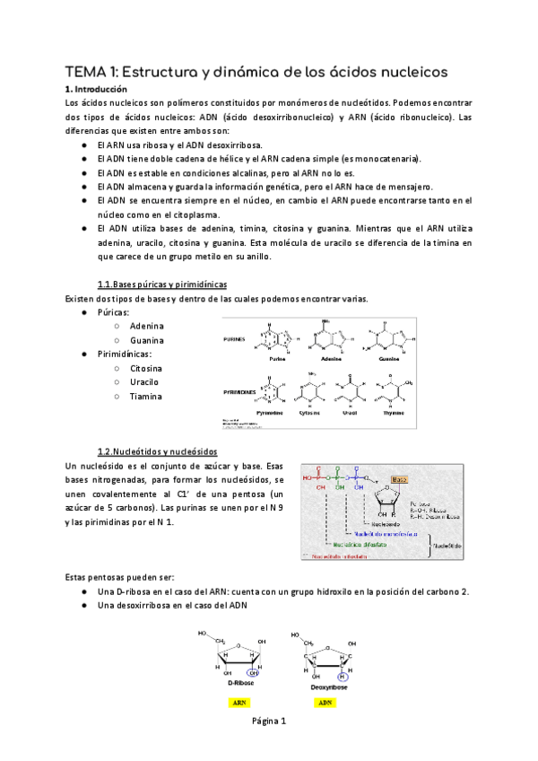 Miniatura del documento T1-BM.pdf