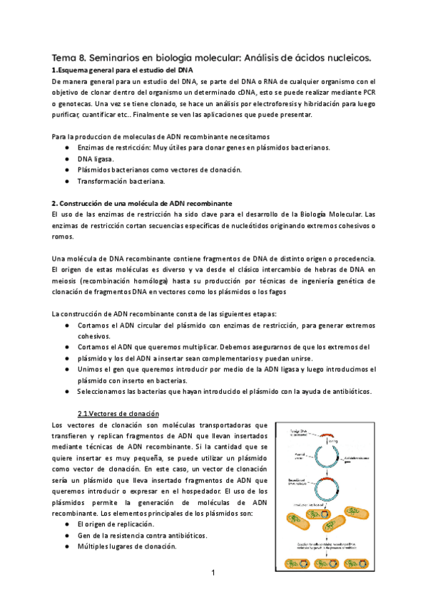 Miniatura del documento T8-BM.pdf